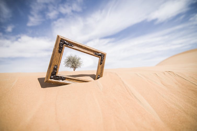 Heavy wooden frame tipped on its bottom right corner in the, framing a tree in the distance