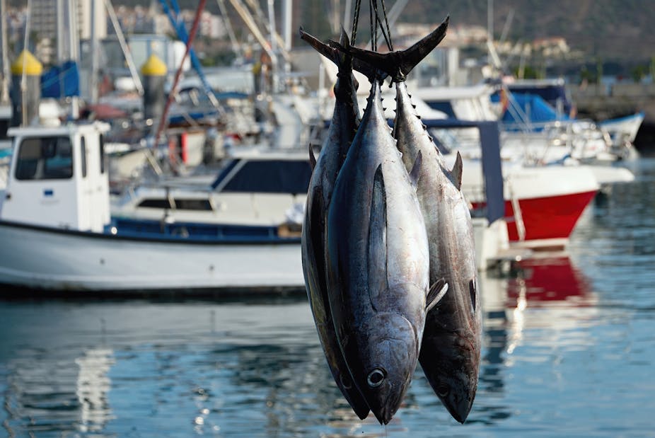 Want to eat fish that's truly good for you? Here are some ... Want to eat fish that's truly good for you? Here are some ...