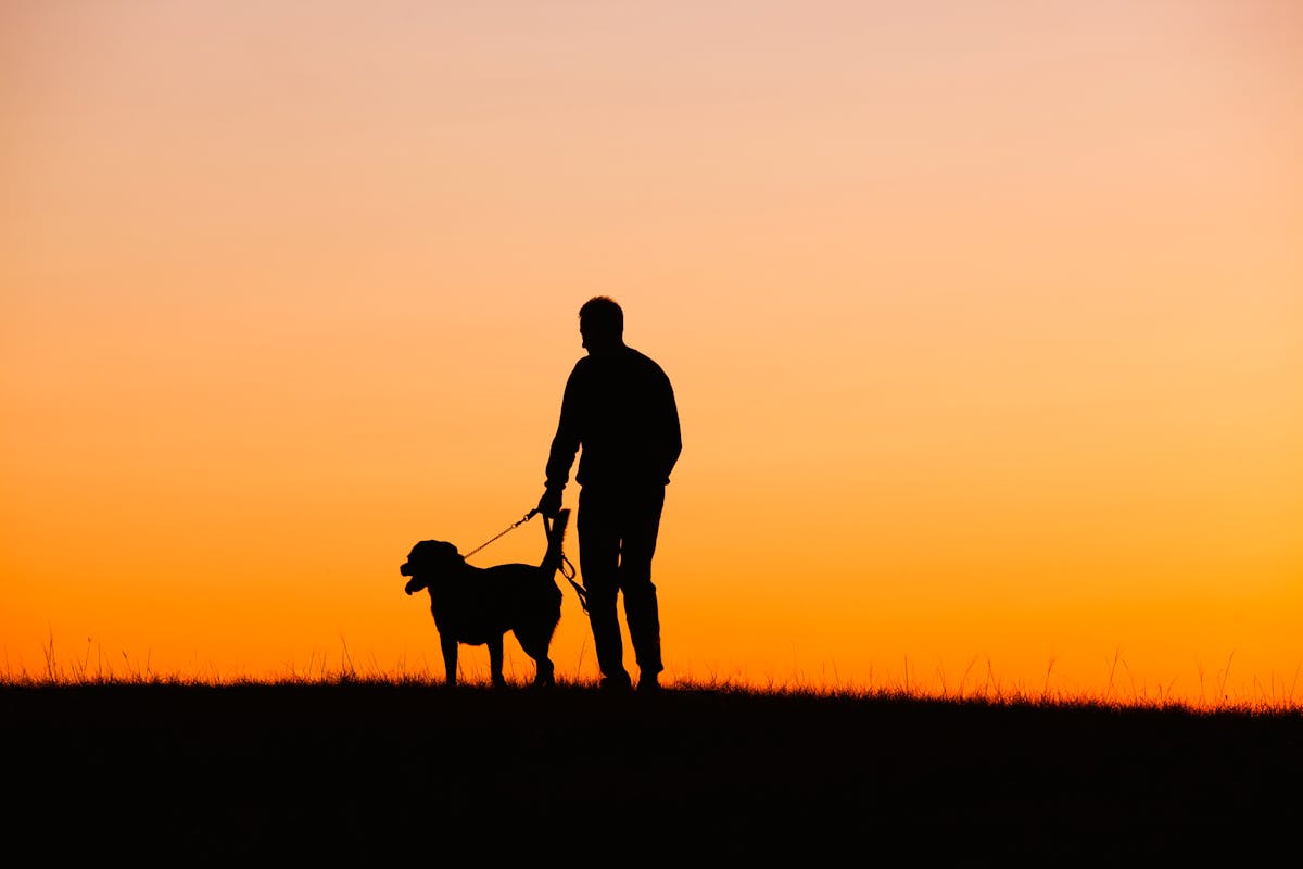 what makes a dog loyal to one person