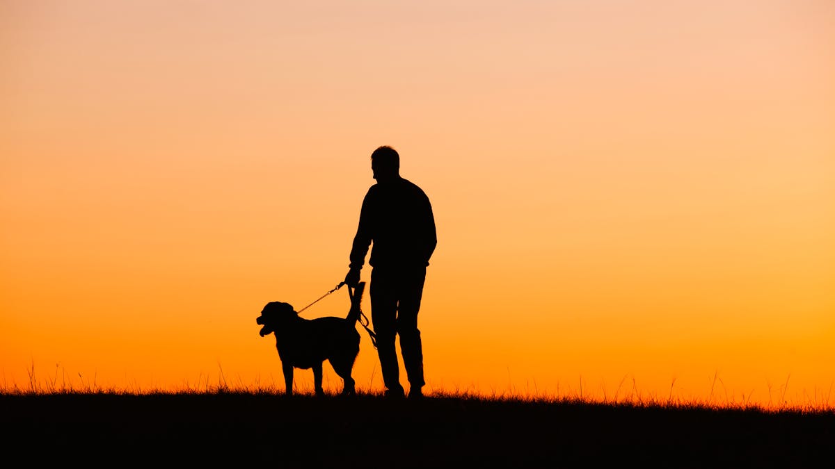 Why Losing A Dog Can Be Harder Than Losing A Relative Or Friend