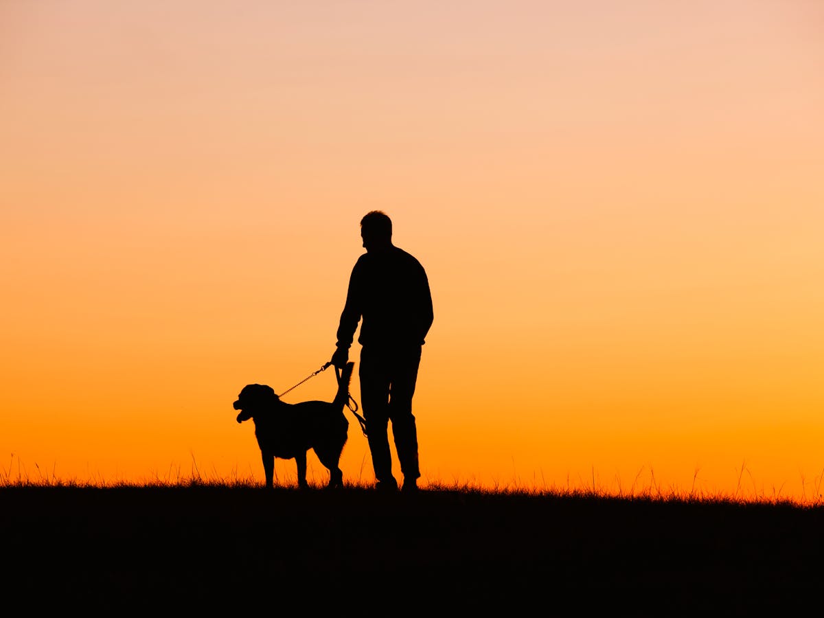 Why Losing A Dog Can Be Harder Than Losing A Relative Or Friend