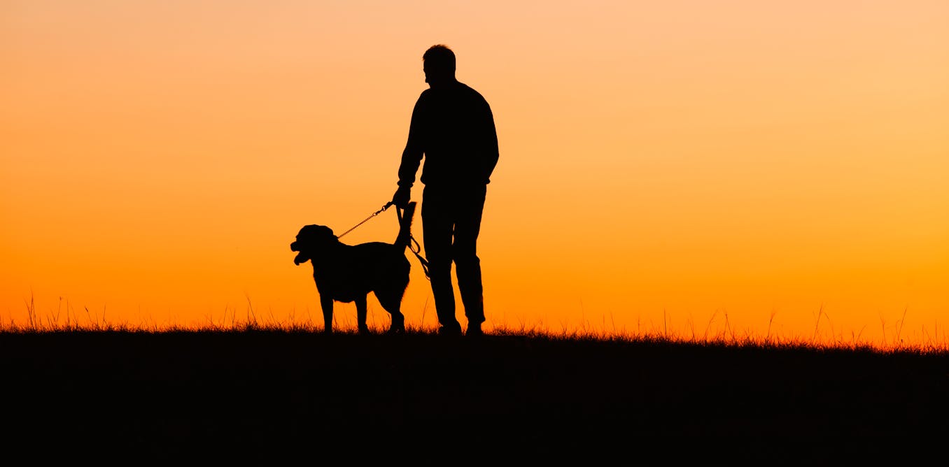 Why losing a dog can be harder than losing a relative or Why losing a dog can be harder than losing a relative or