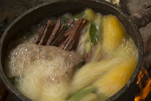 What Is Ayahuasca Drugs The Guardian