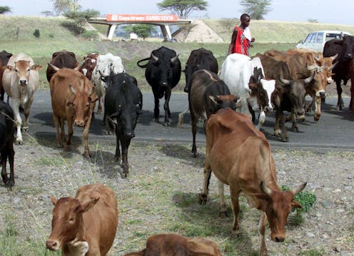 Collective land tenure is under threat in Kenya. Why it needs to be protected image 20170316 10913 gl992w.jpg?ixlib=rb 1.1 - Collective land tenure is under threat in Kenya. Why it needs to be protected
