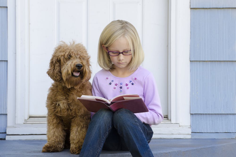 Дети читают собаке. Собака с книжкой. Девочка с собакой на книжке. Девушка с книгой и собакой. Дети чтение собаки.