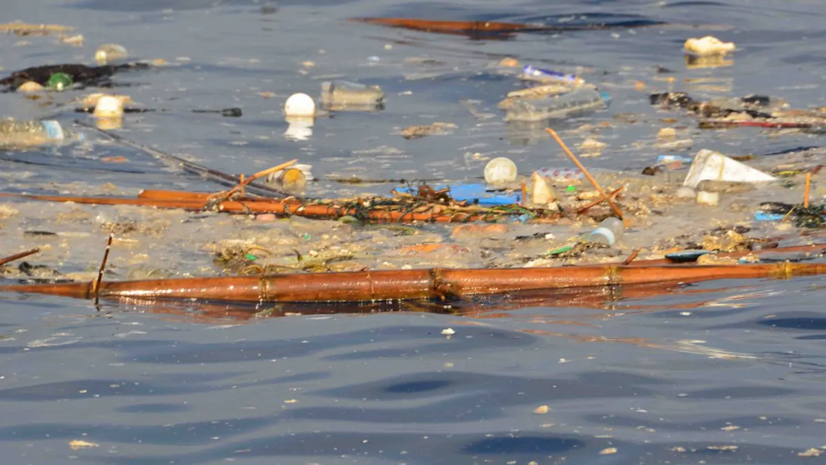 Download Film Review A Plastic Ocean Shows Us A World Awash With Rubbish For Android Free Get Wallpaper Film Review A Plastic Ocean Shows Us A World Awash With Rubbish For Free