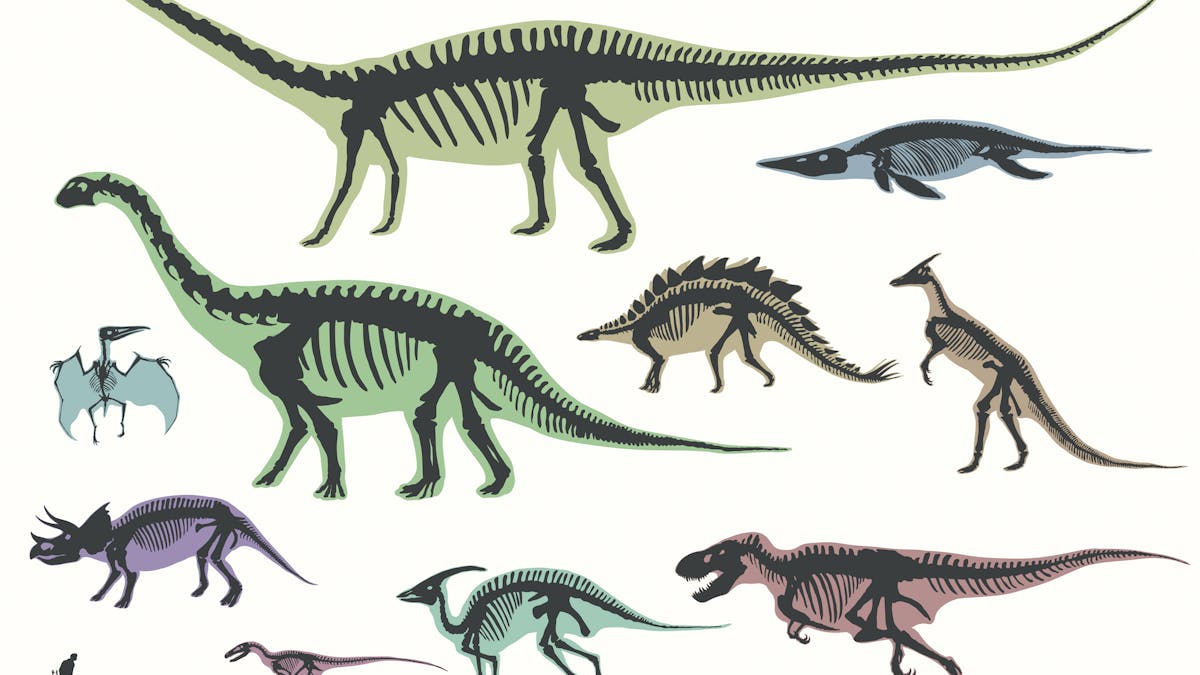 We might have to completely redraw the dinosaur family tree