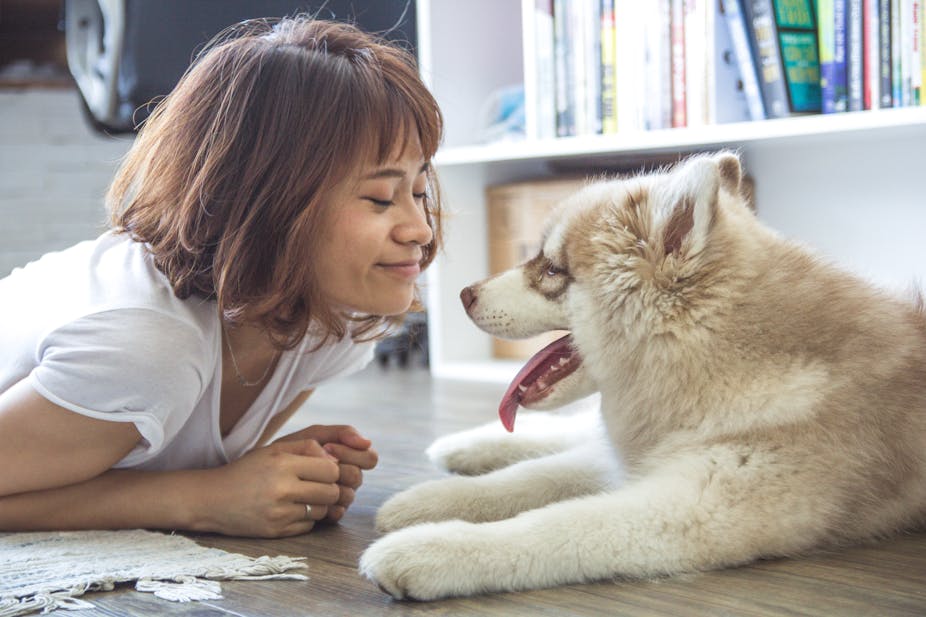 Pets Bring Kids With Autism Out Of >> How Animals Can Help Autistic Children Pets Bring Kids With Autism Out Of >> How Animals Can Help Autistic Children