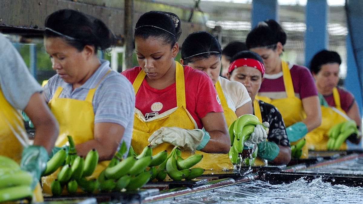The Rise Of Anti Immigrant Attitudes Violence And Nationalism In Costa Rica