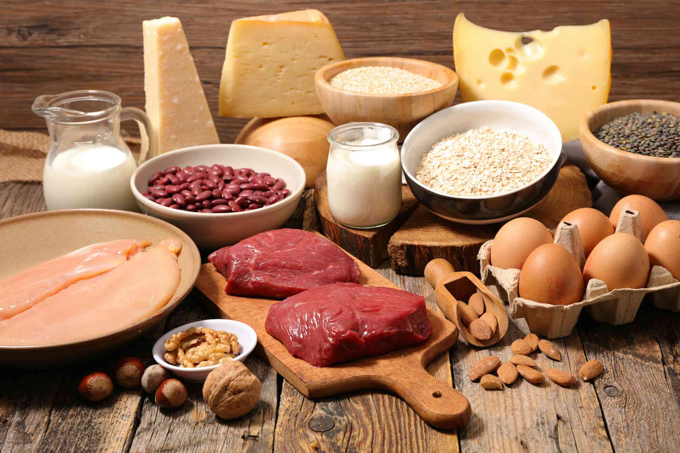 What #39 s the best source of protein for building muscle meat or plants? What #39 s the best source of protein for building muscle meat or plants?