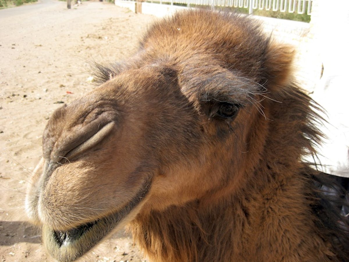 Hormones In Semen Could Lead To Better Infertility Treatment