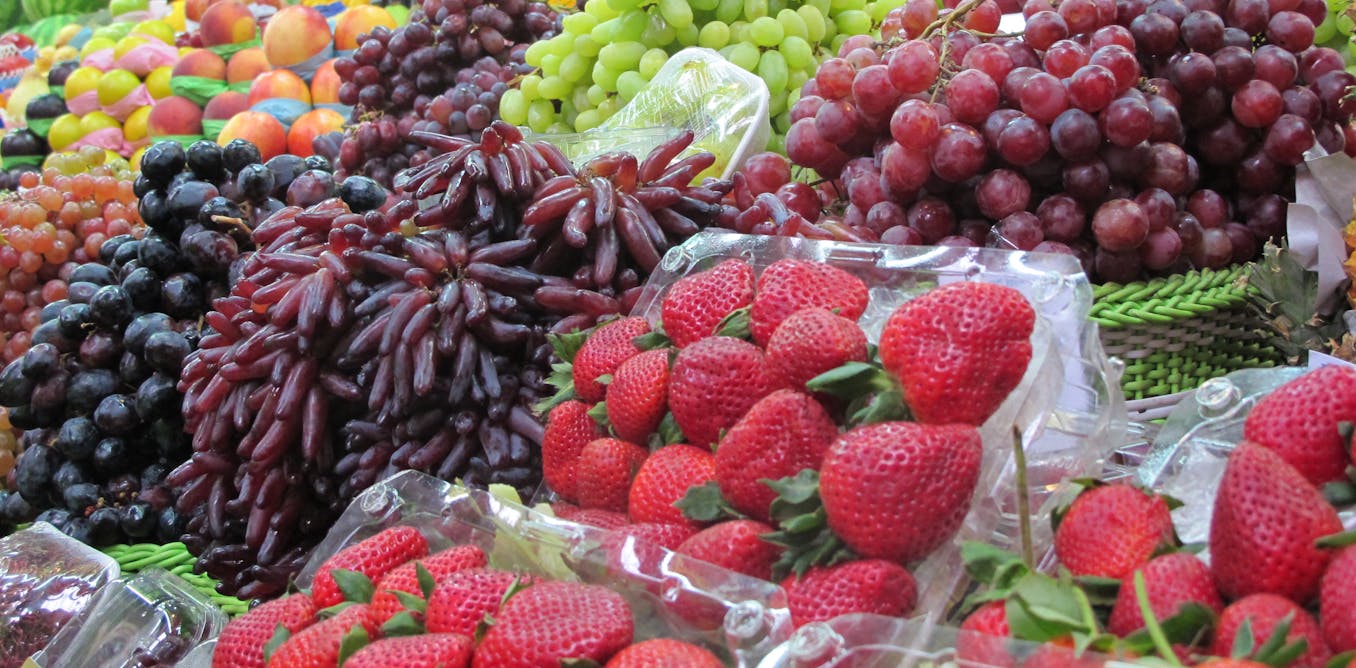 shop Ökologische Krise und