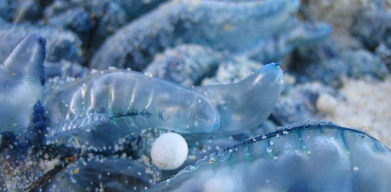 Avola recommends best of Mommy son femdom Porn pic Nadia styles pornstar