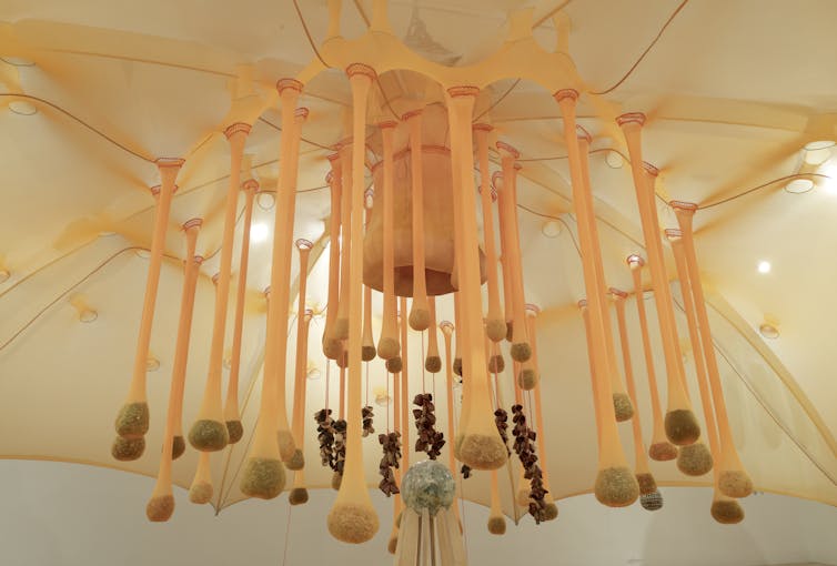 Image 20170405 14593 12gcp17.jpg?ixlib=rb 1.1