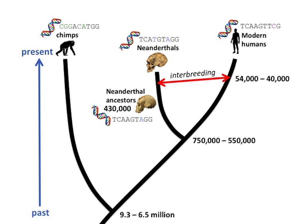 DNA dating: How molecular clocks are refining human evolution’s timeline