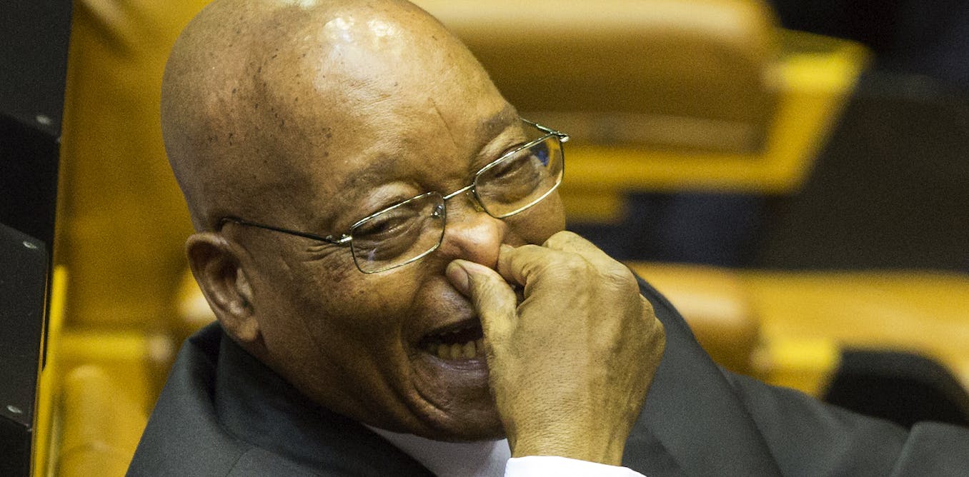 New survey data shows zuma cost the anc dearly in the 2016 election