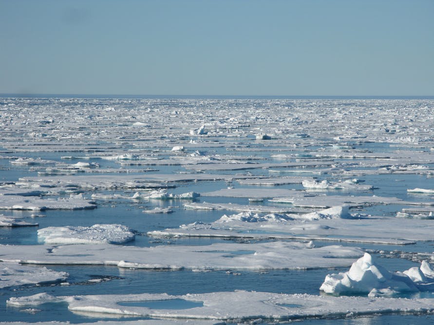 Северно Ледовитый океан льды 2020