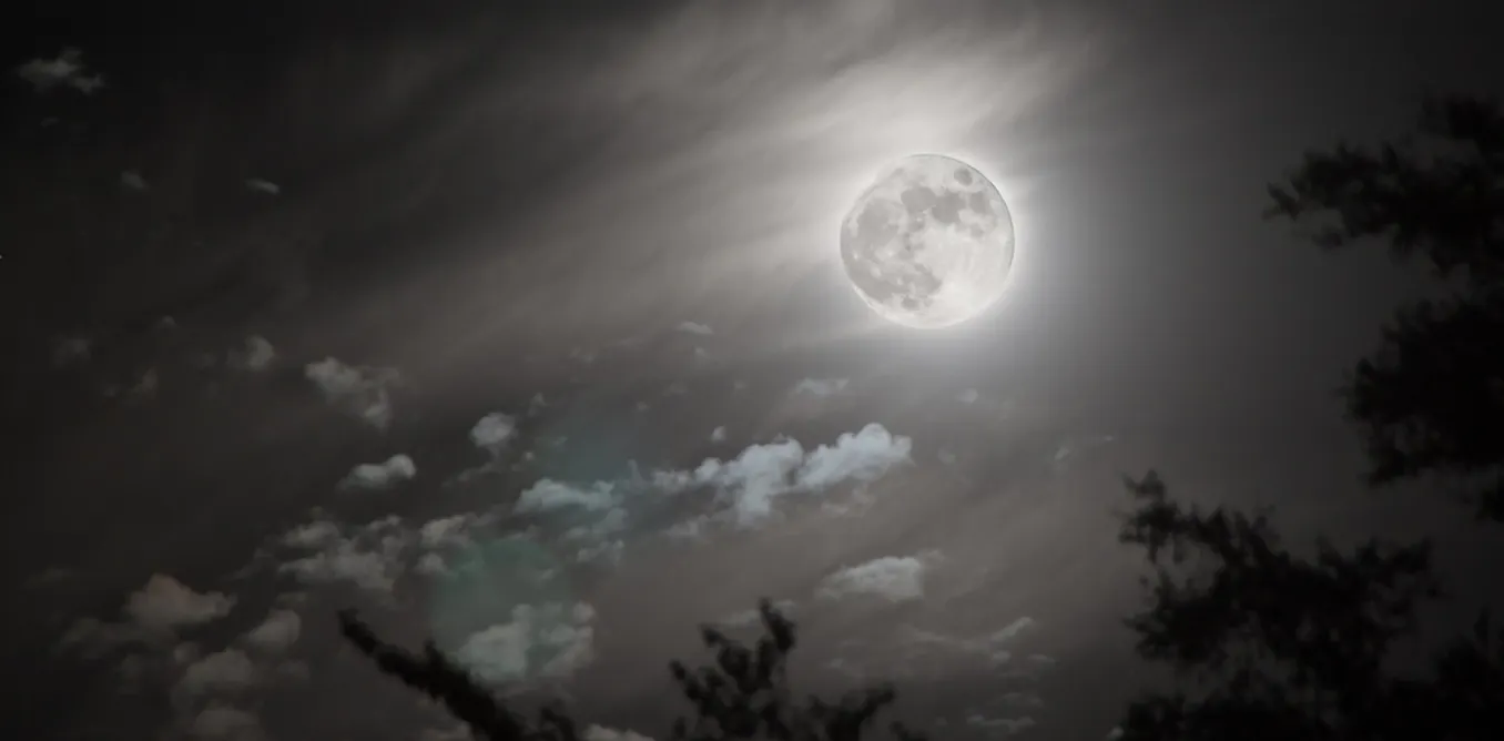 Moon Wind Blowin’ in the (solar) wind: how the moon got its water