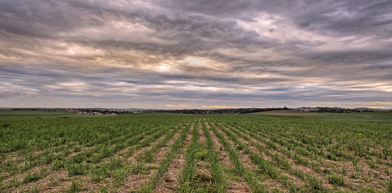 Crop probiotics: how more science and less hype can help Australian farmers