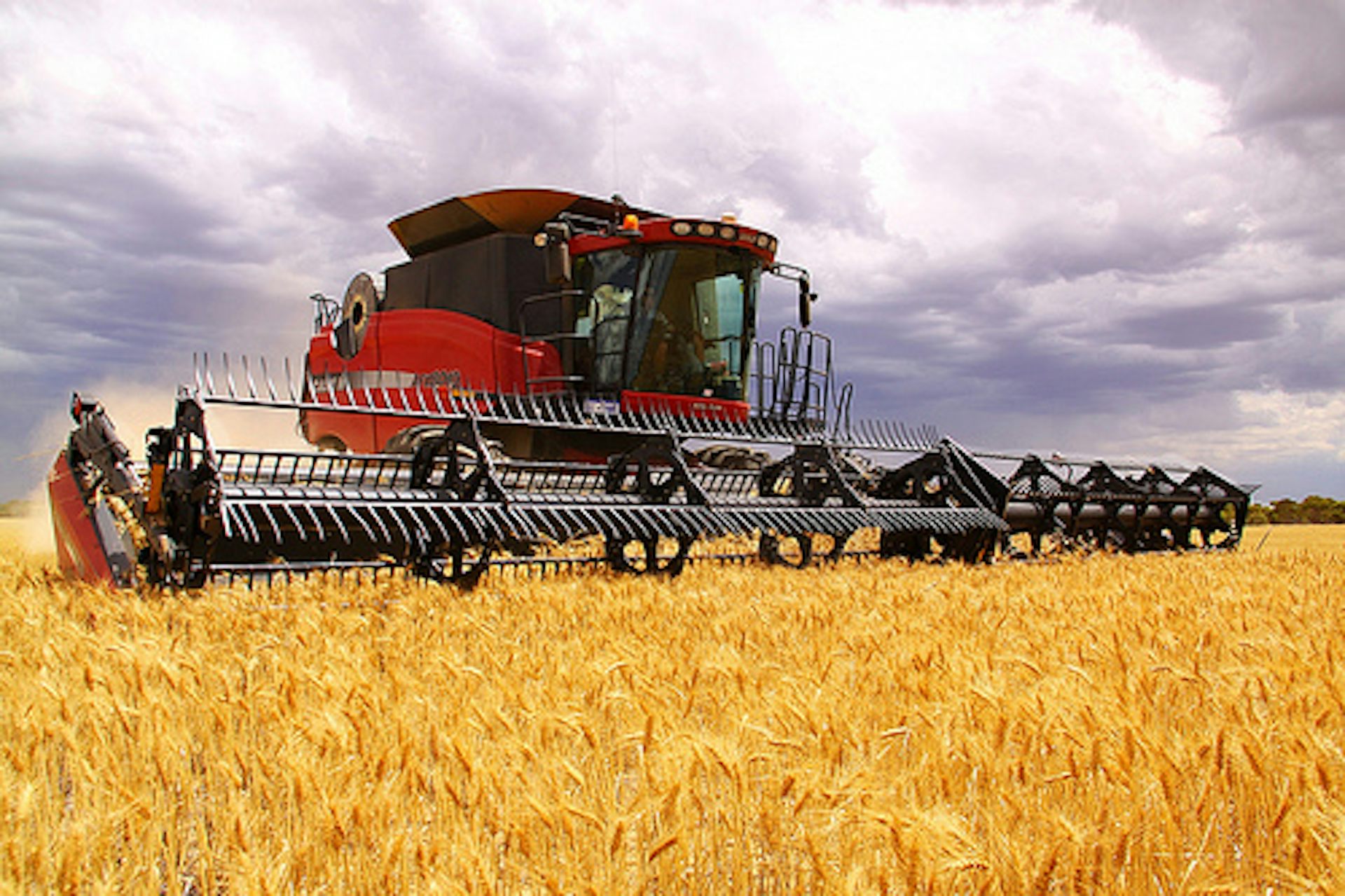 Australia and the global scramble for natural resources