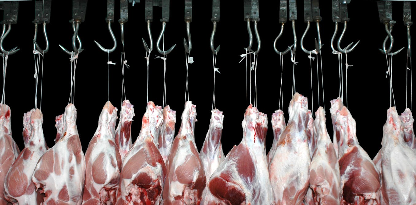 Five ways the meat on your plate is killing the planet