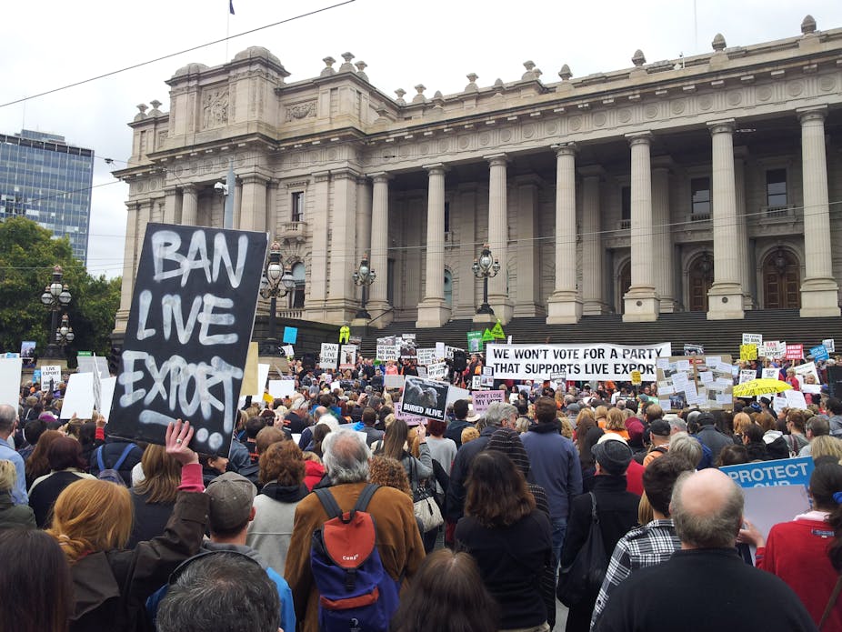 Animal Rights Champions Rally for Legislation That Advances Animal Care Standards