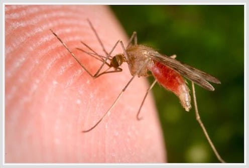 malaria research topics