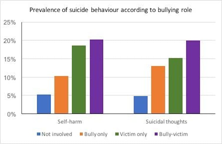 Teenagers who are both bully and victim are more likely to have suicidal thoughts