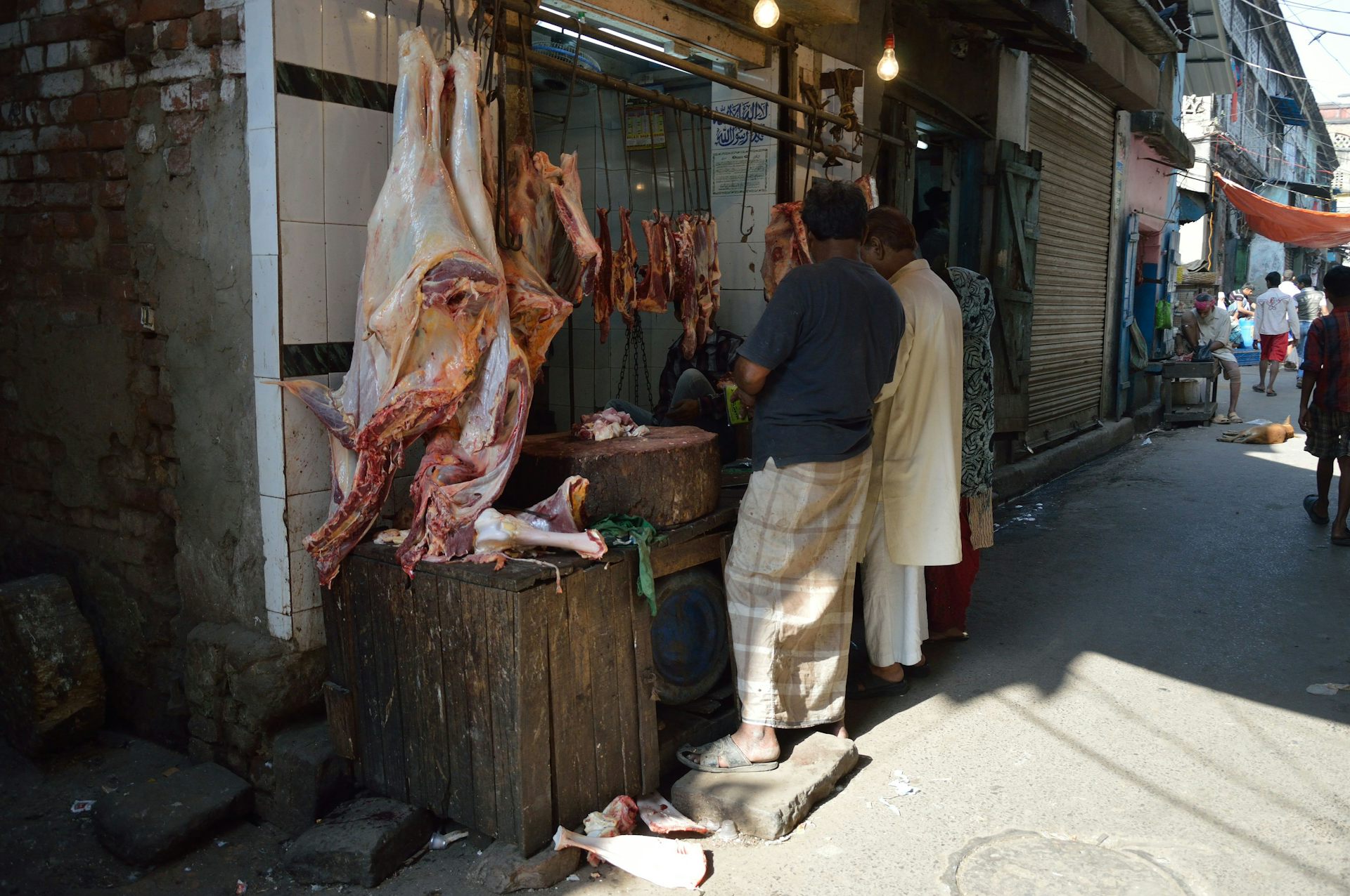 Holy cow as Hindu nationalism surges in India, cows are protected but