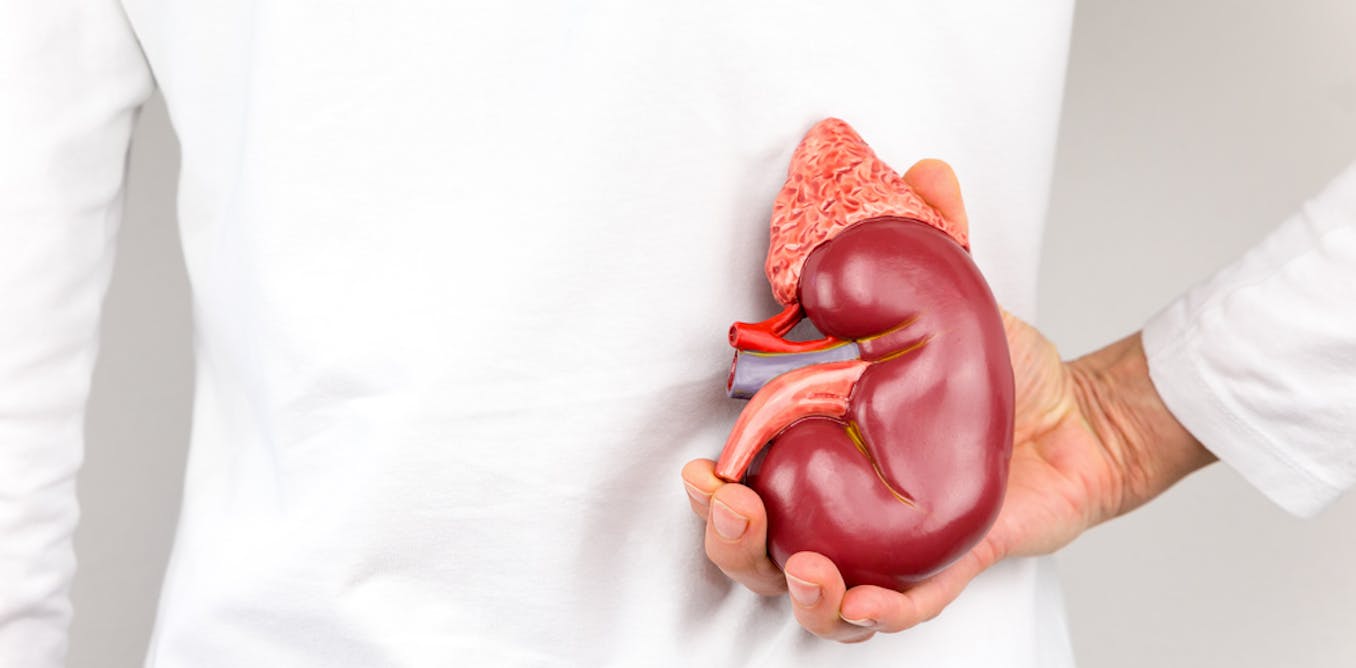 Chronic kidney disease is still a major health challenge