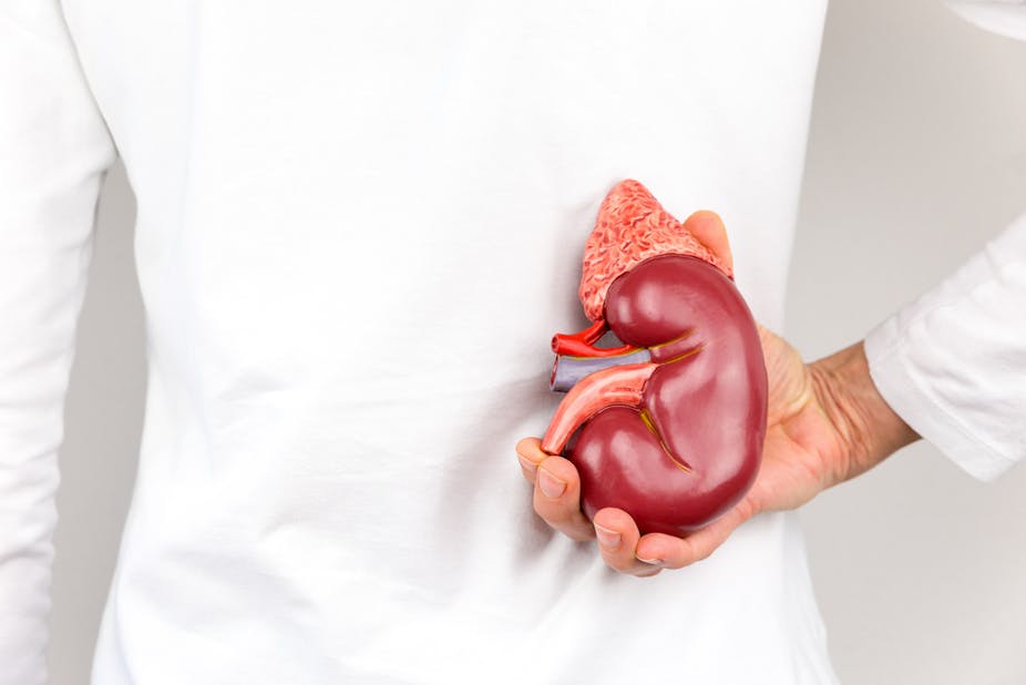 Kidney Failure
