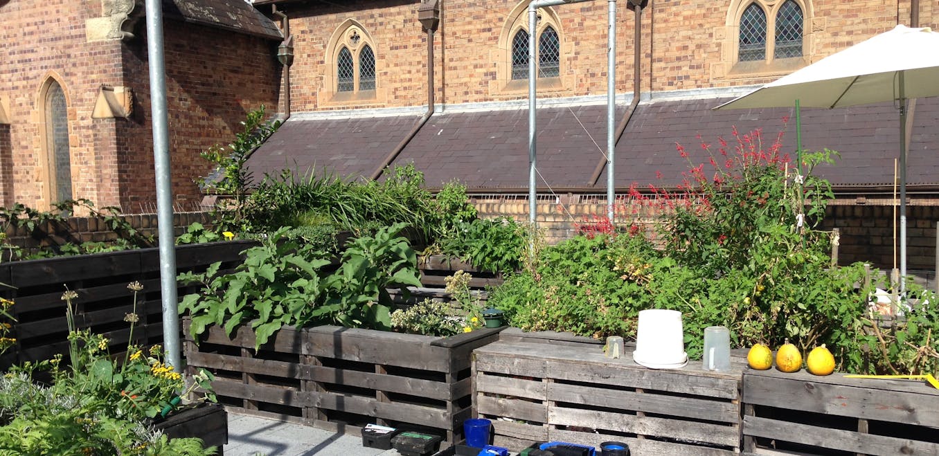 Biophilic urbanism: how rooftop gardening soothes souls