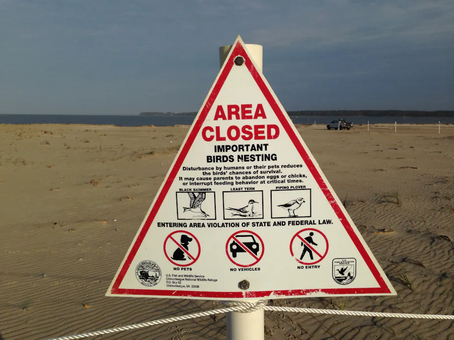 Endanged Sign Endangered Species Sign Endangered Species In Texas: Piping Plover And