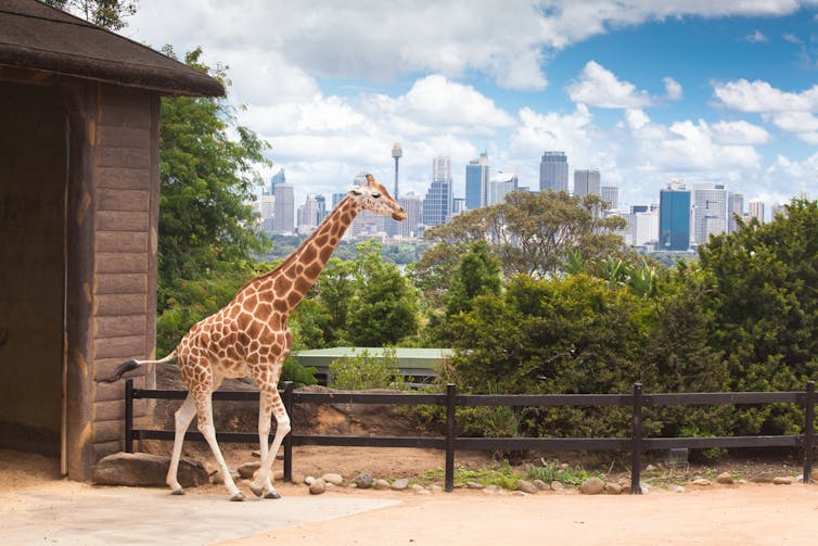 File 20170517 24330 1j3hzlq.jpg?ixlib=rb 1.1