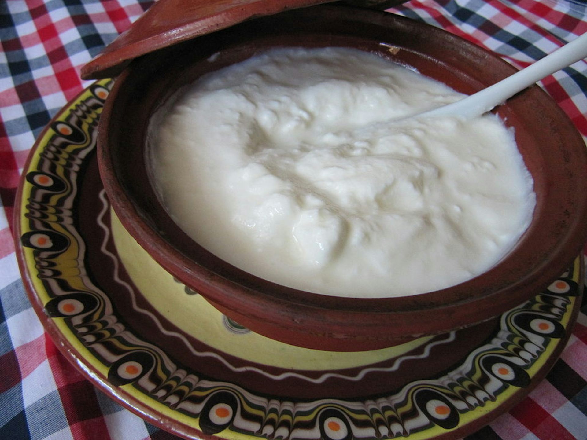 Plain Bulgarian Yogurt Has Become A Symbol Of Good Health Ned Jelyazkovwikimedia Cc By Nd