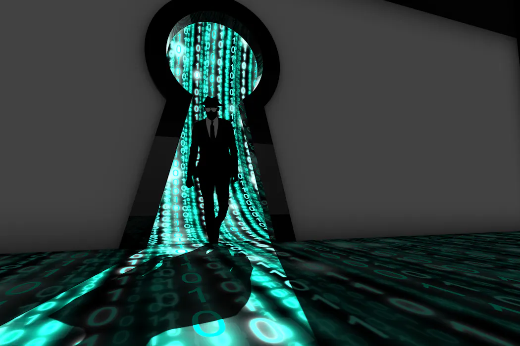 What are software vulnerabilities, and why are there so many of them?