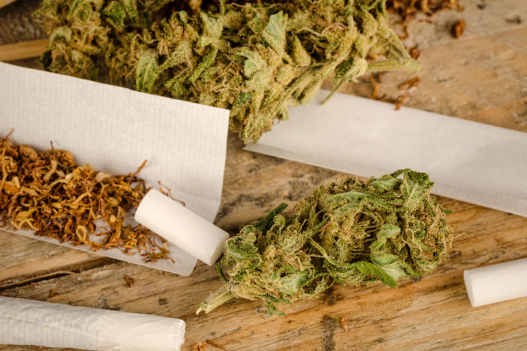 Cannabis isn't the health problem the tobacco people mix with it is Cannabis isn't the health problem the tobacco people mix with it is
