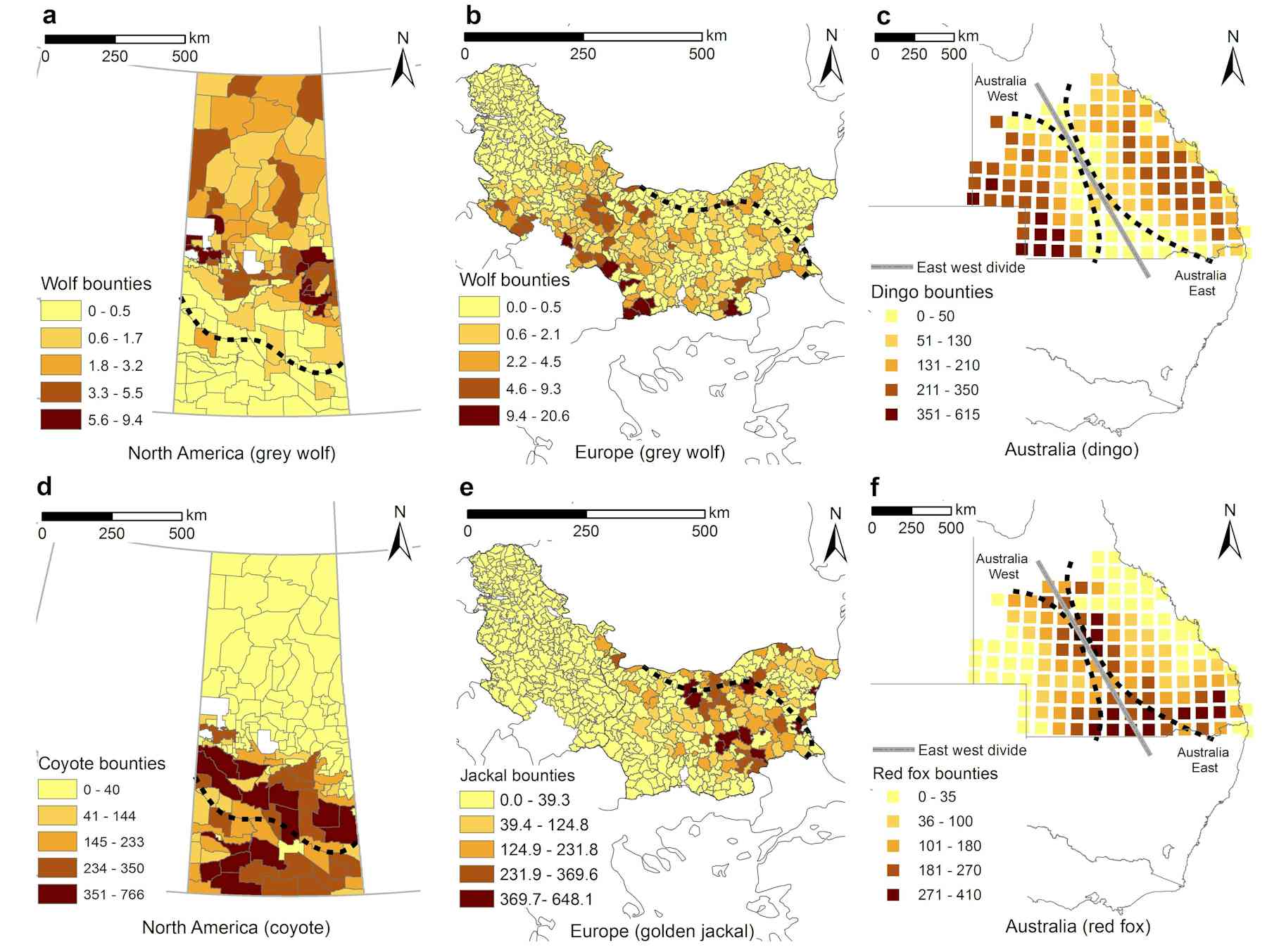 Thinking big gives top predators the competitive edge