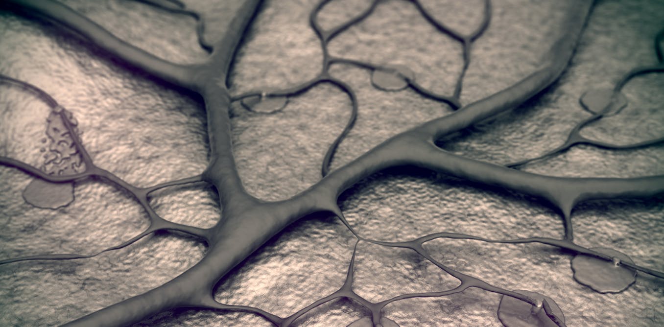 Explainer: what's actually in our blood?