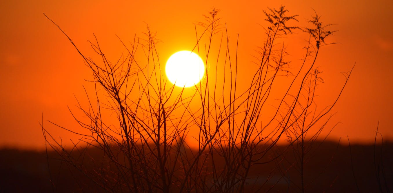 Image result for the sun
