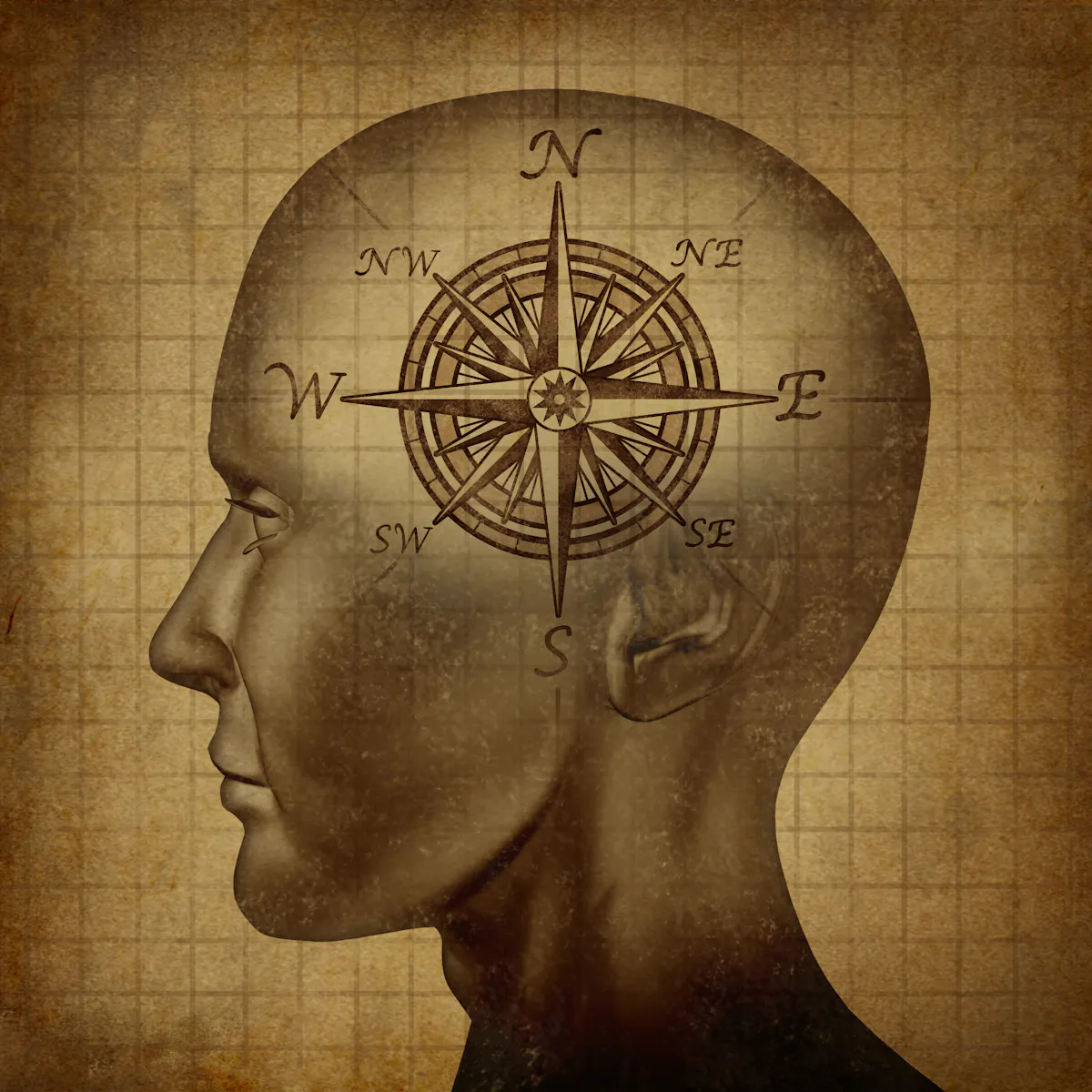 Moral Compass Is Australia A Kind Nation