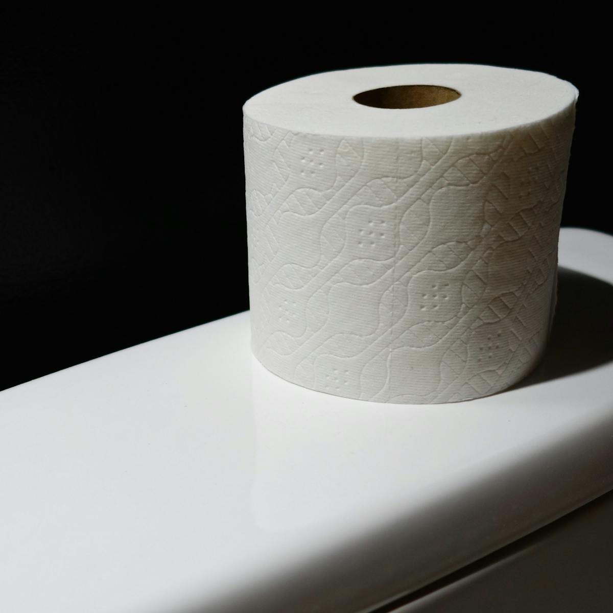 Curious Kids Where Does My Poo Go When I Flush The Toilet Does It Go Into The Ocean