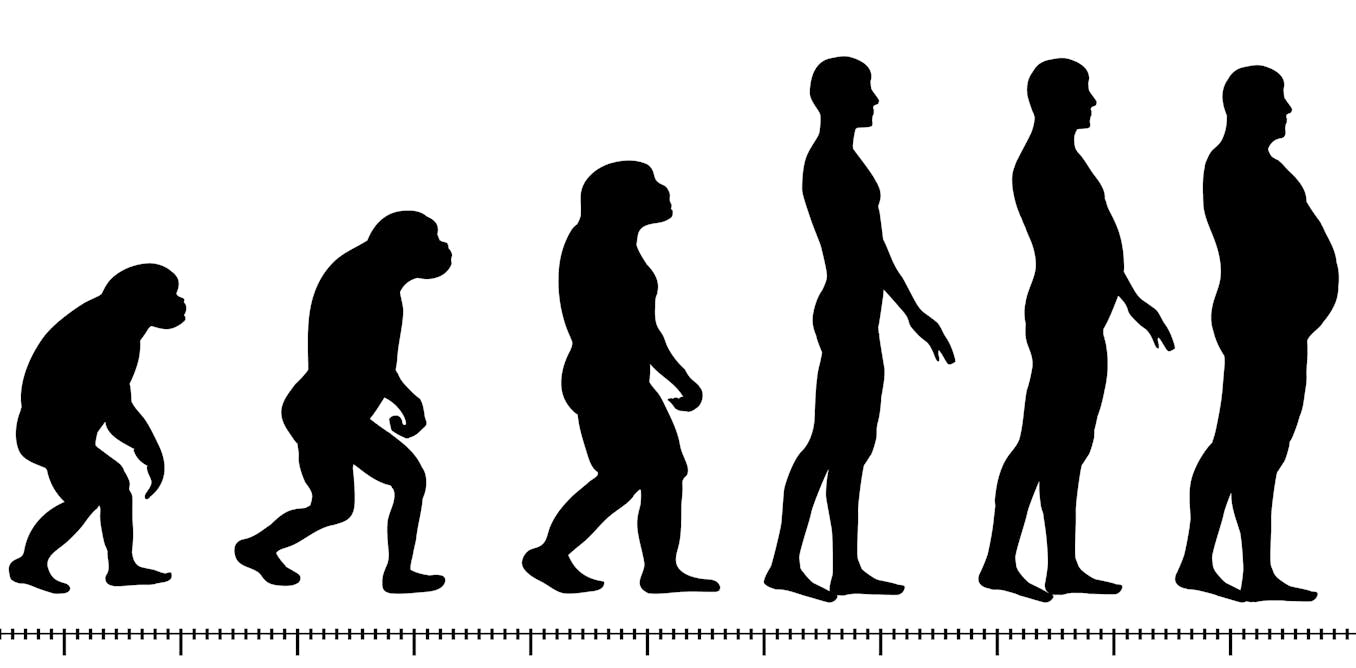 Work vectors, photos and psd files Unreliable food supplies, rather than too much food, may lead to obesity