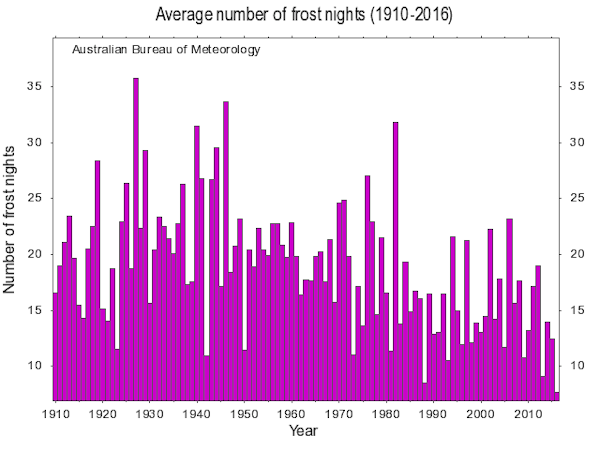 Winter warmth is in the forecast (but don't celebrate yet)