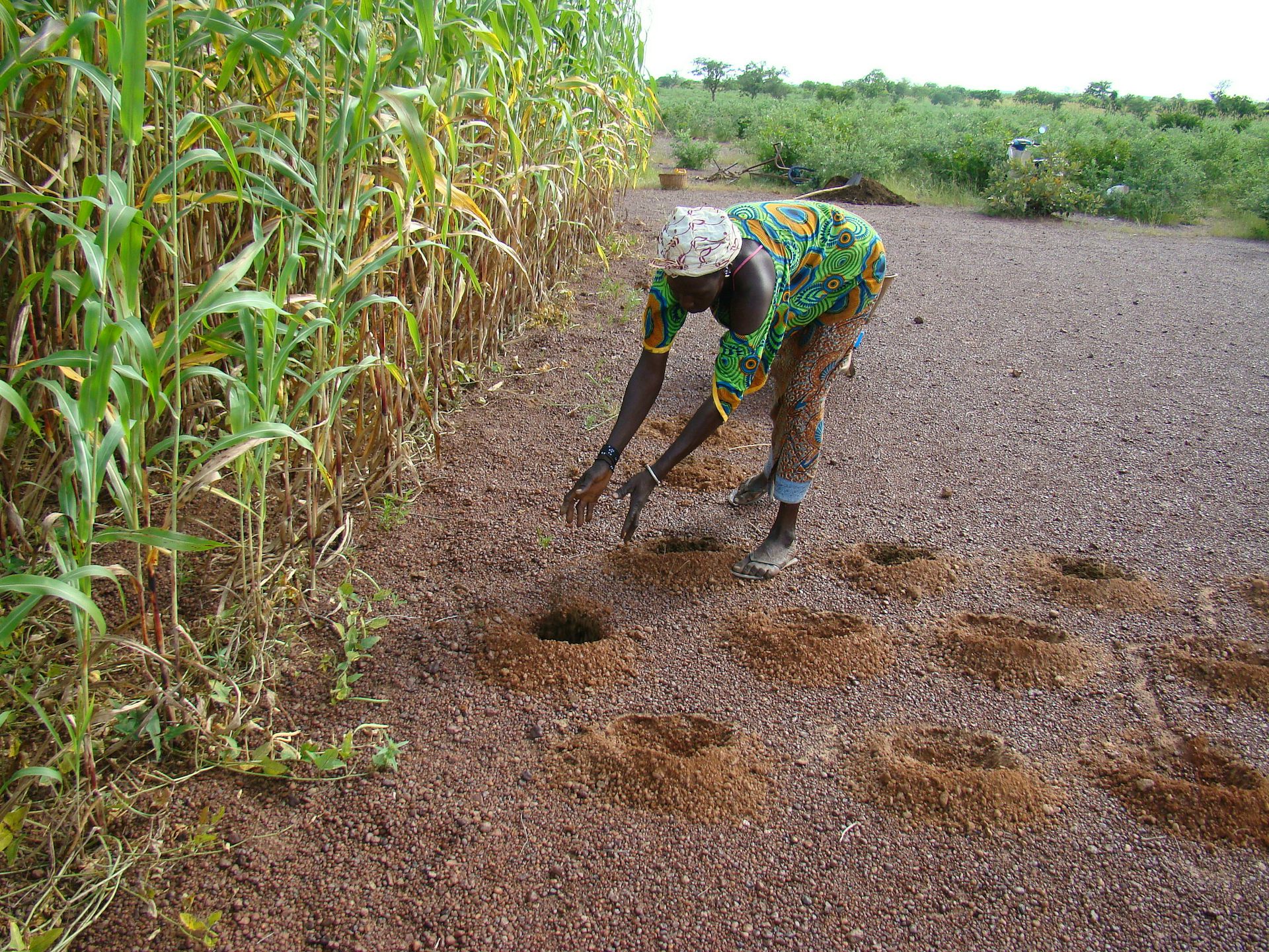 Pourquoi Le Tchad Est Le Pays Le Plus Exposé Au Réchauffement Climatique