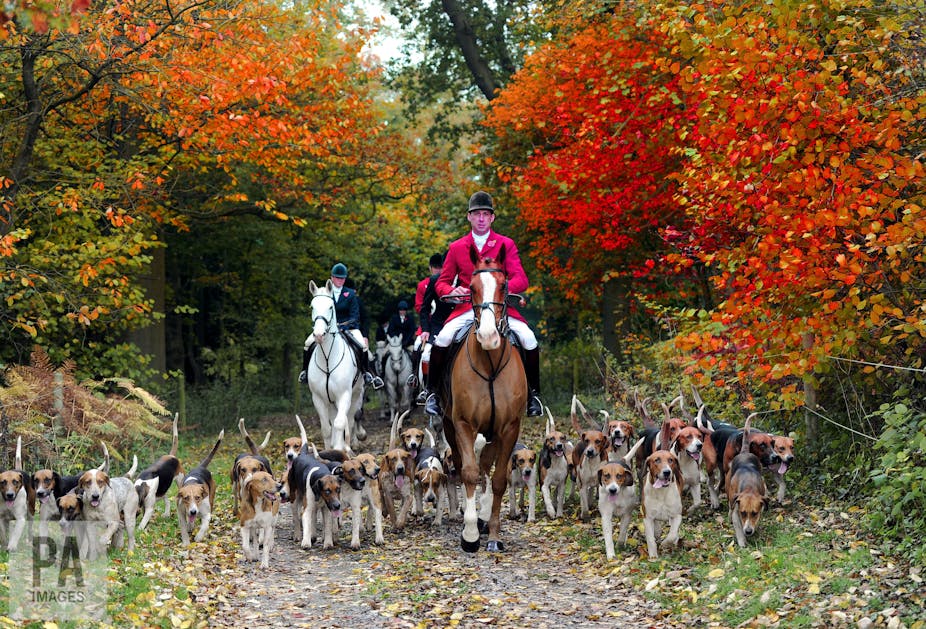 fox hunting barbaric fox hunting barbaric