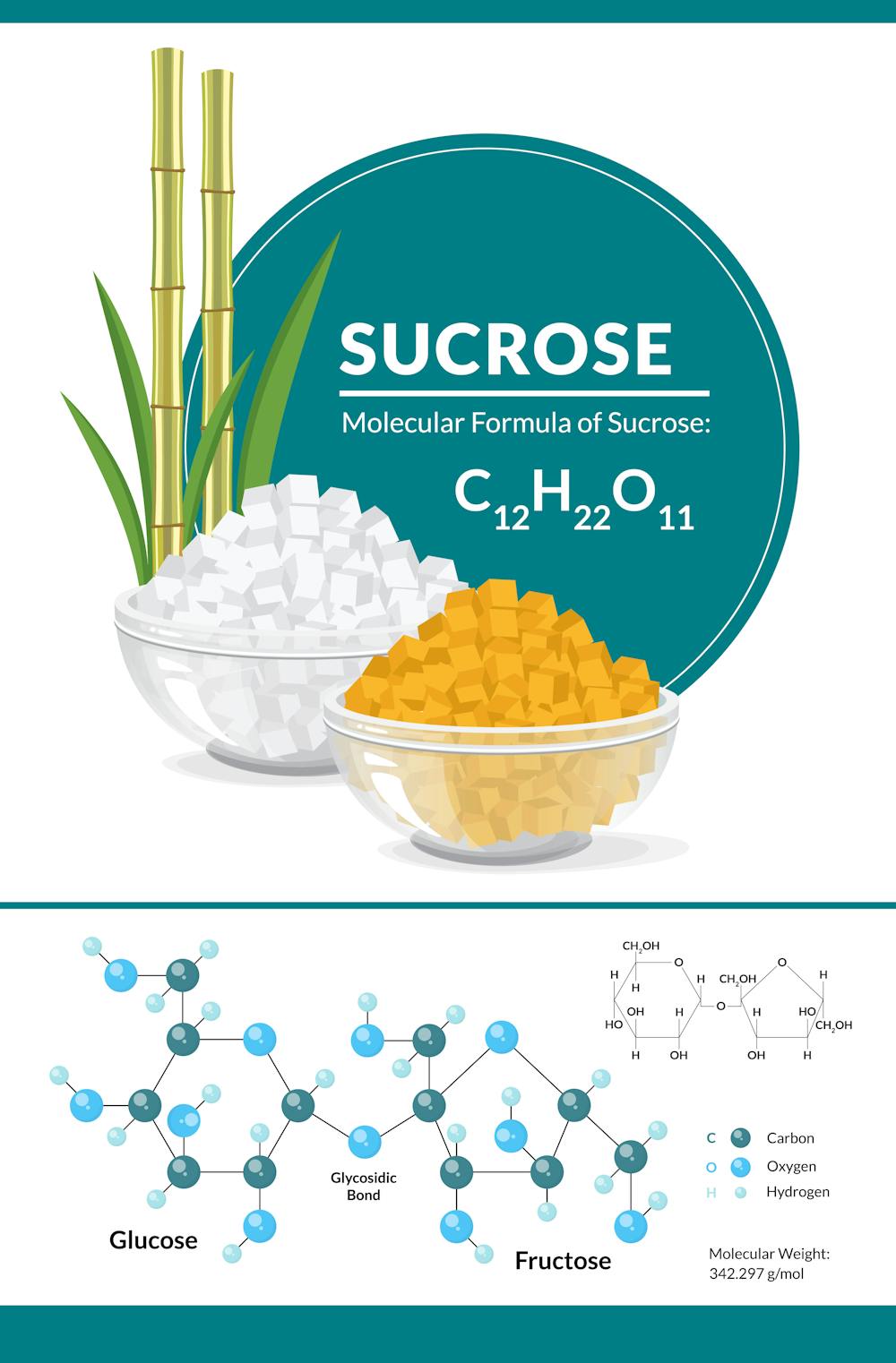 Fructose is Fructose is Fructose  American Council on Science and Health