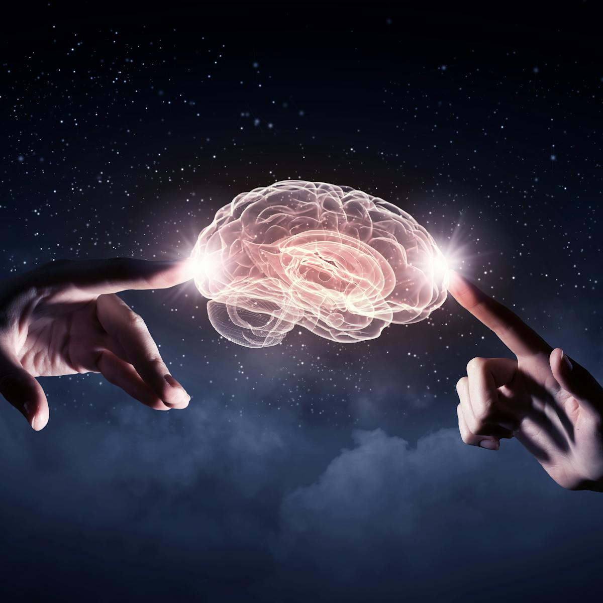 Why Did Humans Evolve Such Large Brains Because Smarter People Have More Friends