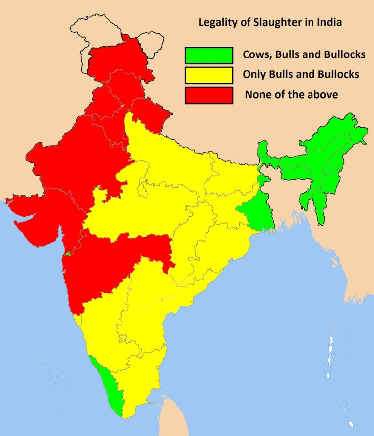 The Map and the Territory