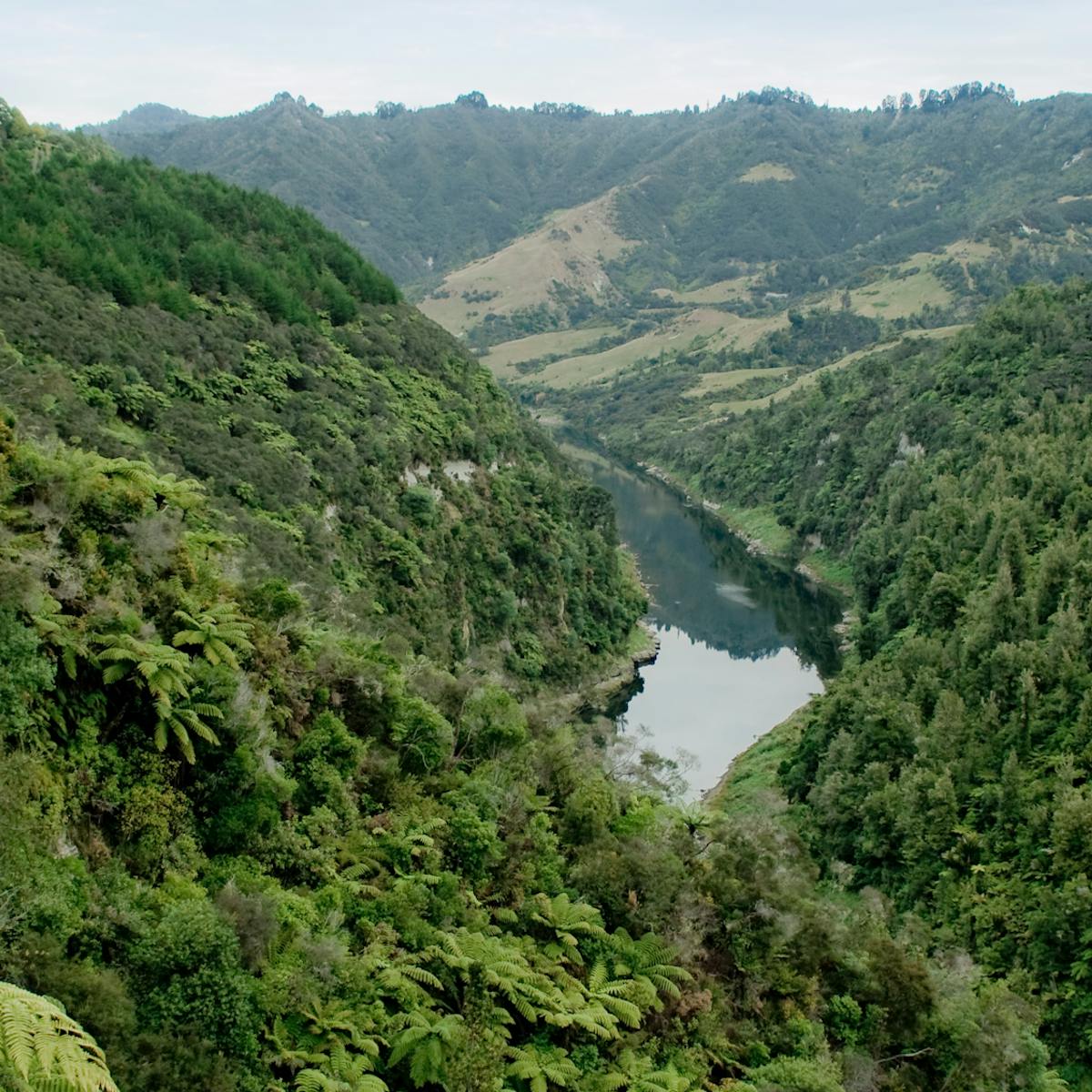 When A River Is A Person From Ecuador To New Zealand Nature Gets Its Day In Court When A River Is A Person From Ecuador To New Zealand Nature Gets Its Day In Court
